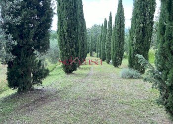 Foto 36 - Rustico Cinigiano - foto 36
