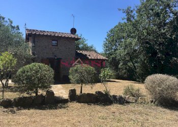 Foto 42 - Rustico Cinigiano - foto 42