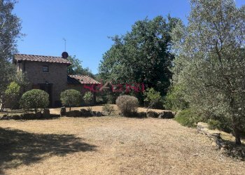 Foto 43 - Rustico Cinigiano - foto 43