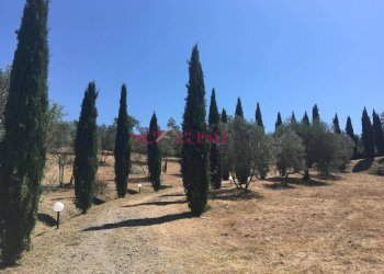 Foto 47 - Rustico Cinigiano - foto 47