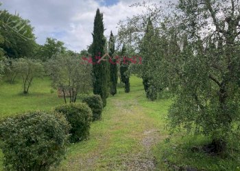 Foto 48 - Rustico Cinigiano - foto 48