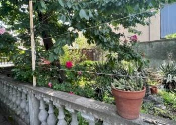 Giardino - Villa Torino (neighborhood Rebaudengo) - photo 5