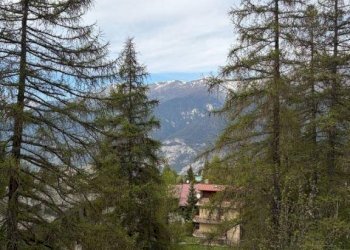 Vista - Quadrilocale via Dolmaire, 21, Sauze d'Oulx - foto 11