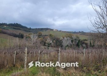 Terreno - Rustico contrada Serepenne, Villamagna - foto 3