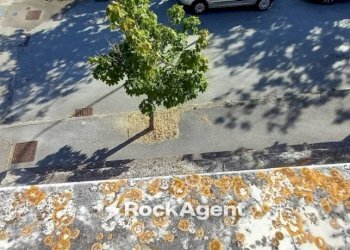 Terreno - Villa Roncitelli, AN, Senigallia - foto 12
