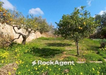 Terreno - Villa via 168, Porto Cesareo - photo 26