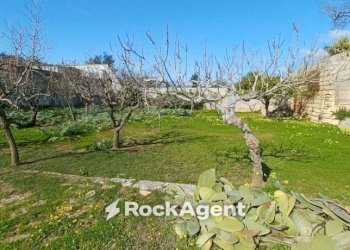 Terreno - Villa via 168, Porto Cesareo - photo 36