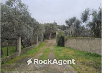 Terreno - Three-room apartment Farri Superiore, Grotteria RC, Grotteria - photo 12