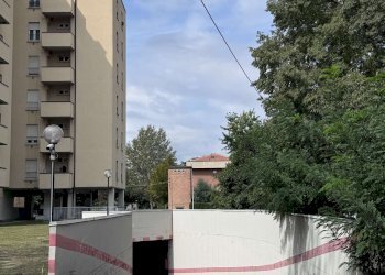 parti comuni - Appartamento via Guido Minarini, San Lazzaro di Savena - foto 12