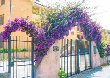 Zona - Appartamento via del mare 220, Santa Maria del Cedro - foto 8