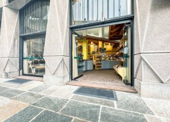 Ingresso - Shop via aurelio godi 21, Gozzano - photo 24