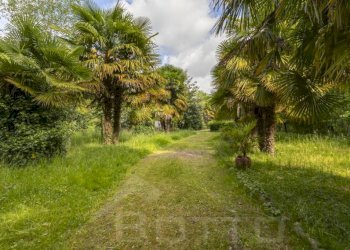 Terreno - Villa Cascina Convento, Borgomanero - photo 21