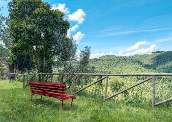 Terreno - Villa via di Pulica 6, Montelupo Fiorentino - foto 43