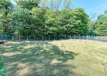 Terreno - Villa via Tancognino 38, Gozzano - photo 12