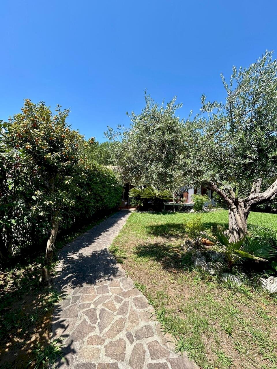 WhatsApp Image 2026-06-02 at 10.32.17 - Villa Via Terracina Km 11, San Felice Circeo - foto 2