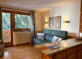 AFFITTO VERRAND - SPGGIORNO CON CUCINA E ZONA PRAN - Bilocale Courmayeur - foto 20