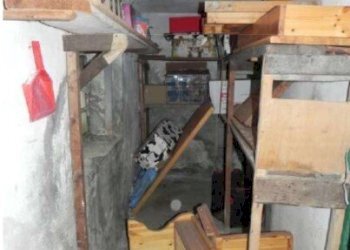 6 - Warehouse at auction Via S. Ambrogio di Fegino 2B, Genova (neighborhood Rivarolo) - photo 5