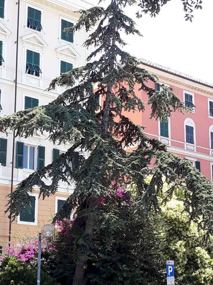 IMG-20250718-WA0001.jpg - Appartamento Via delle Cappuccine, Genova (zona Carignano) - foto 1