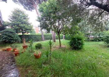 PHOTO-2026-05-28-16-49-05 - Villa Via Don Giovanni Minzoni, Calenzano - foto 6