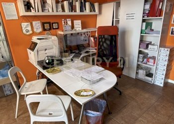 IMG_7982 - Abbigliamento - Intimo Via Francesco Crispi 129, Catania - foto 8