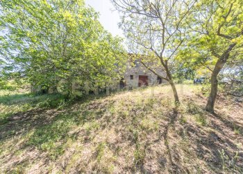 22 - Casale Via Tiberina 384, Narni - photo 22