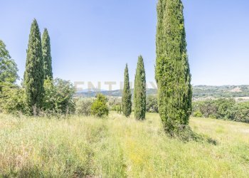 30 - Casale Via Tiberina 384, Narni - photo 28