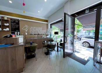 Locale - Gelateria Viale Romagna 10, Milano (zona Città Studi) - foto 12