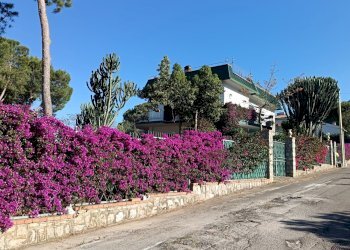 esterna angolare - Villa Trabia - photo 26