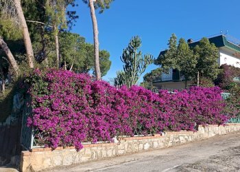 esterna - Villa Trabia - photo 29