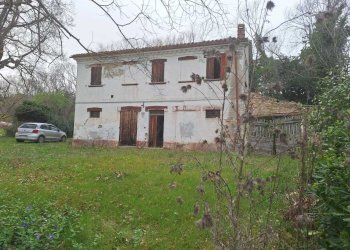 WhatsApp Image 2026-05-27 at 15.52.30 - Casale Corinaldo - photo 1