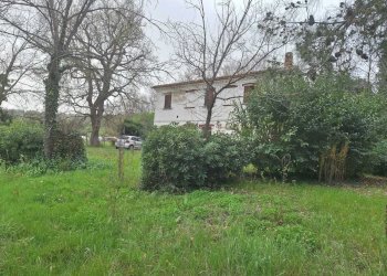 WhatsApp Image 2026-05-27 at 15.52.30 (1) - Casale Corinaldo - photo 5