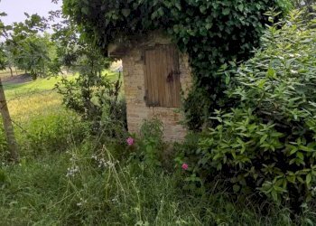 WhatsApp Image 2026-05-27 at 15.52.45 (2) - Casale Corinaldo - photo 11