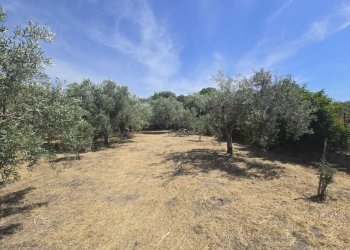 2 - Terreno agricolo Viale dello Sport, Camporotondo Etneo - foto 2
