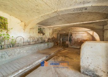 Rustic Centallo - photo 20