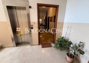 Appartamento Bologna (zona Lame) - foto 5