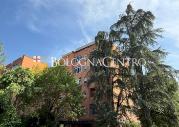 Appartamento Bologna (zona Lame) - foto 47