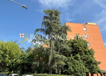 Appartamento Bologna (zona Lame) - foto 48