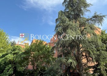 Appartamento Bologna (zona Lame) - foto 49