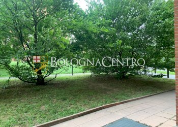 Appartamento Bologna (zona San Donato) - foto 4