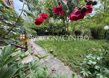 Apartment Pianoro - photo 32