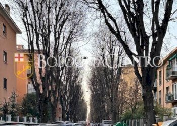 Quadrilocale Bologna (zona Mazzini) - foto 50