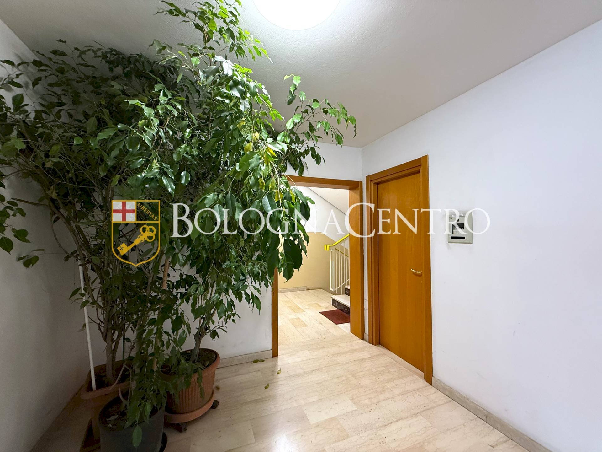 Apartment Bologna (neighborhood Barca) - photo 3