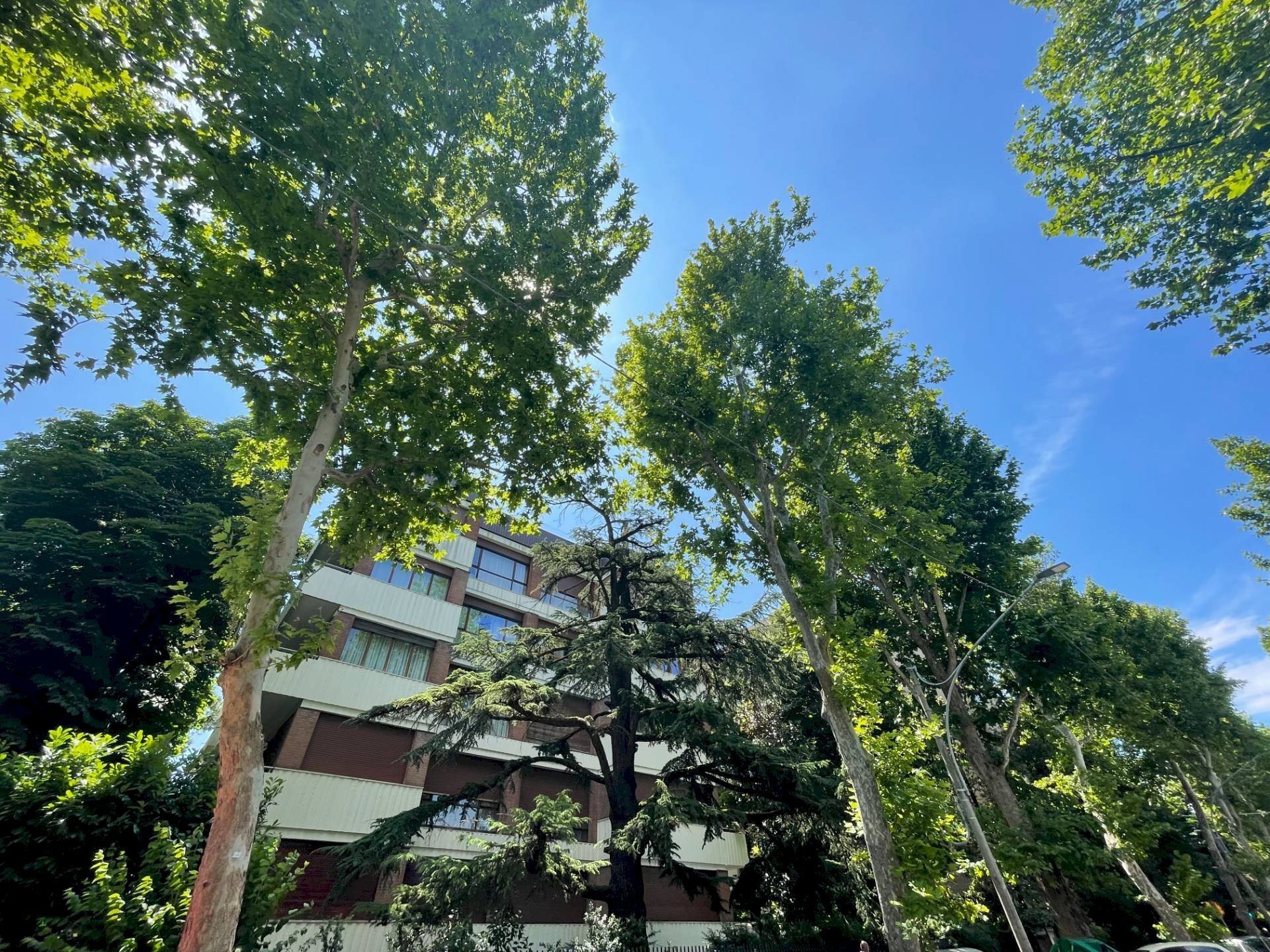 Attico Bologna (zona Murri) - foto 2