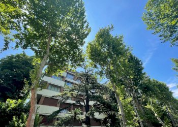 Attico Bologna (zona Murri) - foto 2