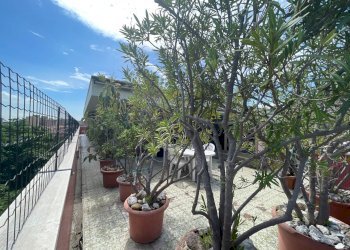 Attico Bologna (zona Murri) - foto 12