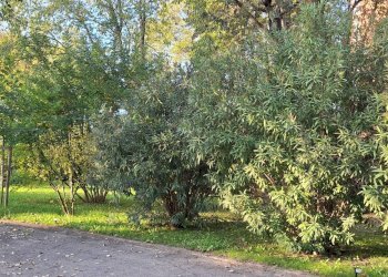 Appartamento Bologna (zona Barca) - foto 5
