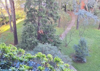 Appartamento Bologna (zona Barca) - foto 10