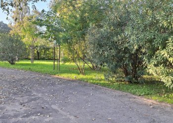 Appartamento Bologna (zona Barca) - foto 23