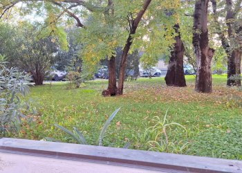 Appartamento Bologna (zona Barca) - foto 28