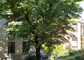Trilocale Bologna (zona Centro Storico) - foto 26